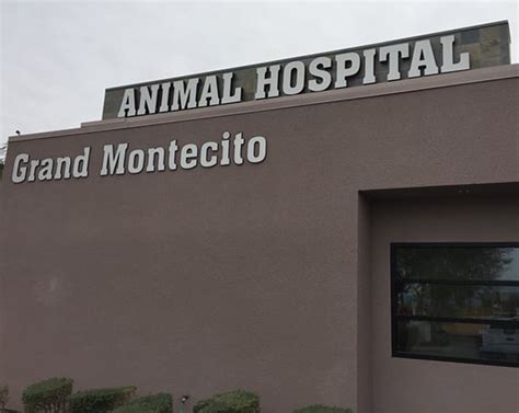 Grand montecito animal hospital  Some examples of diagnostic